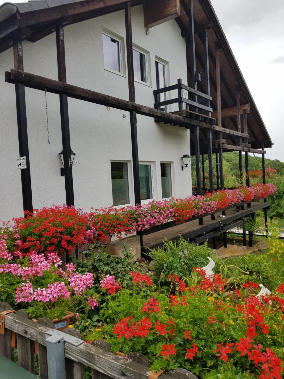 Hotel-Restaurant-Eifeltor Mechernich Exterior photo